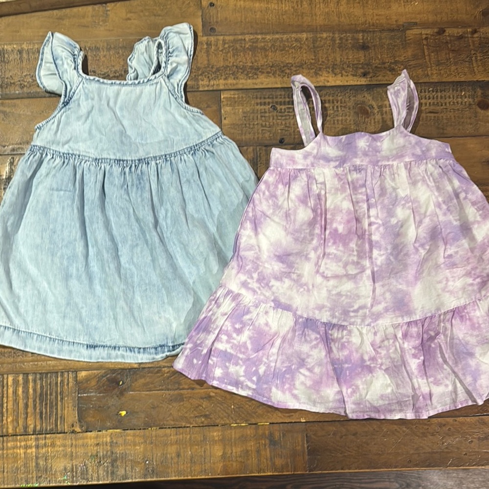 Charming Kids Dresses in Blue and Purple from the gap